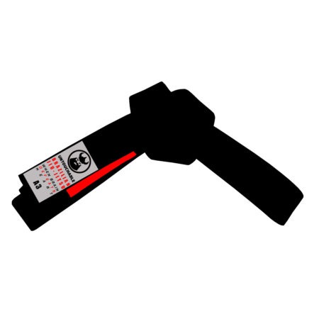 BJJ Belt for Adults (Blue, Purple, Brown and Black)